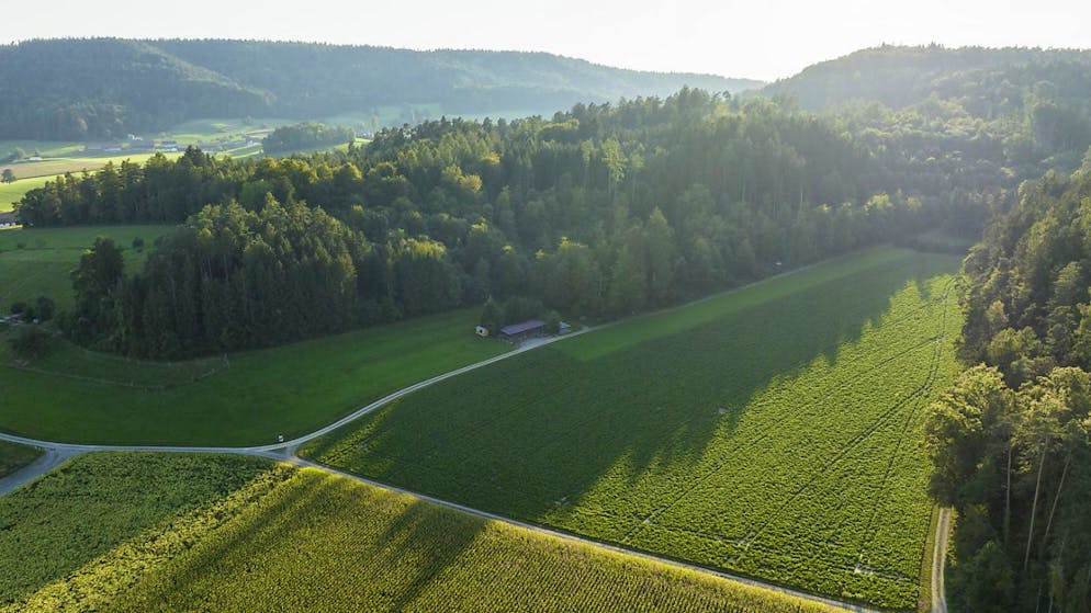 Ecco dove dovrebbe venir realizzato il deposito profondo destinato a custodire le scorie radioattive provenienti dalle centrali nucleari.