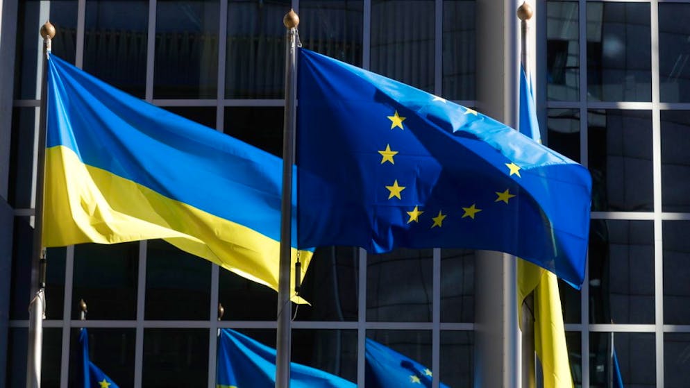 Guerra in Ucraina. Zelensky al Parlamento UE: «Putin è piccolo rispetto all'Europa unita»