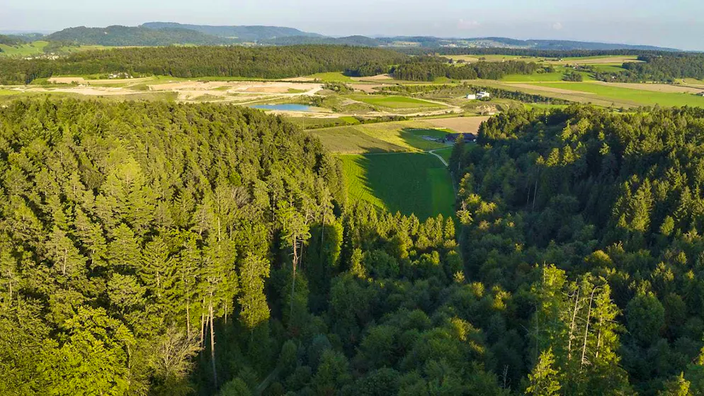 Switzerland's future nuclear repository is to be built in this area near the Zurich municipality of Stadel. (archive picture)