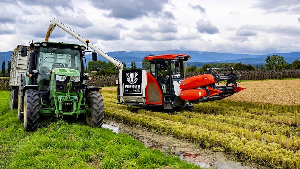 Gli agricoltori svizzeri sono stati confrontati con un anno contrastato