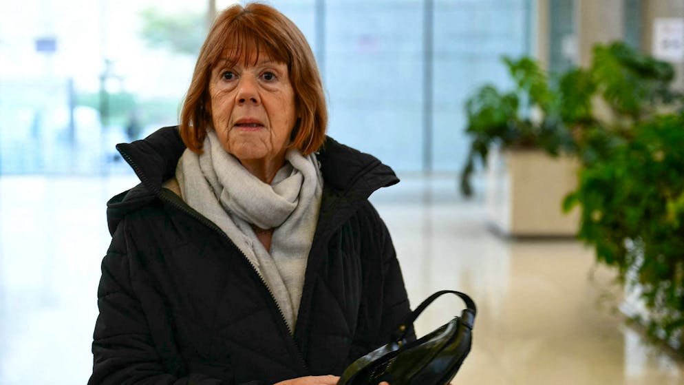 Plädoyer im Avignon-Prozess. Alle Angeklagten trugen zu Martyrium bei