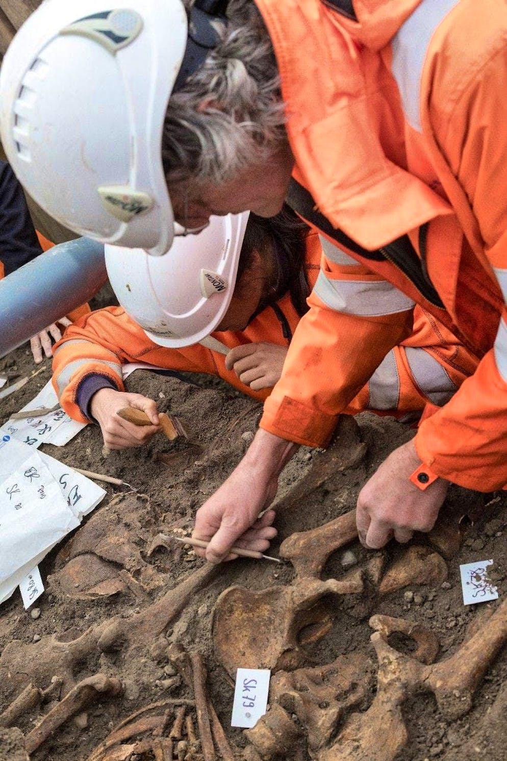 Gli archeologi scoprono gli scheletri del cimitero nascosto a Zurigo.