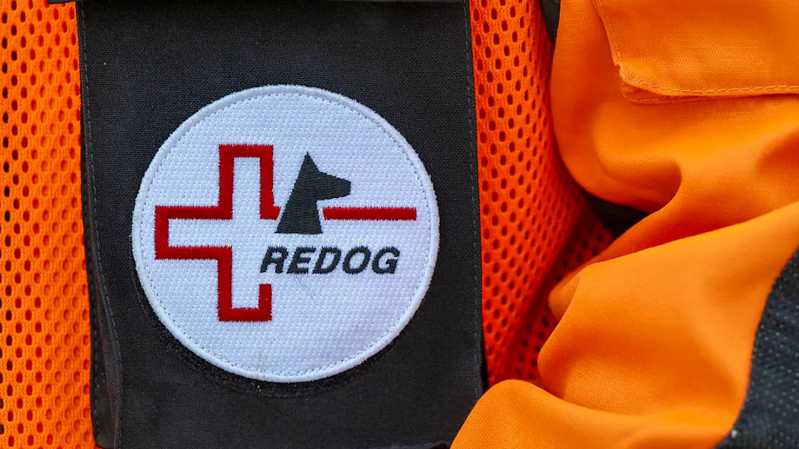 Inondazioni a Valencia Redog invia una squadra con tre cani | blue News