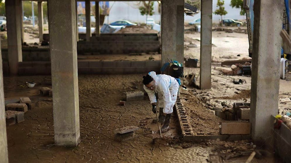 Three search dogs from Redog, each with a dog handler, as well as an operations manager and a technical tracking specialist with a search camera will help in the search for missing persons in the Valencia flood area. (archive picture)