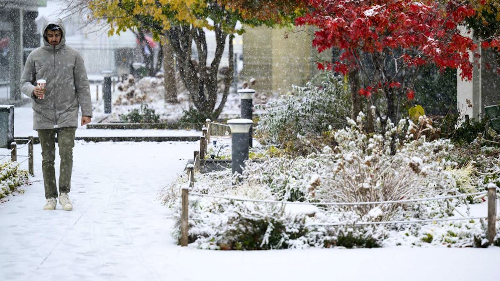 Magia e disagi. È arrivata la neve in Ticino: chiusi tratti di strade. Al nord si attendono fino a 80 cm