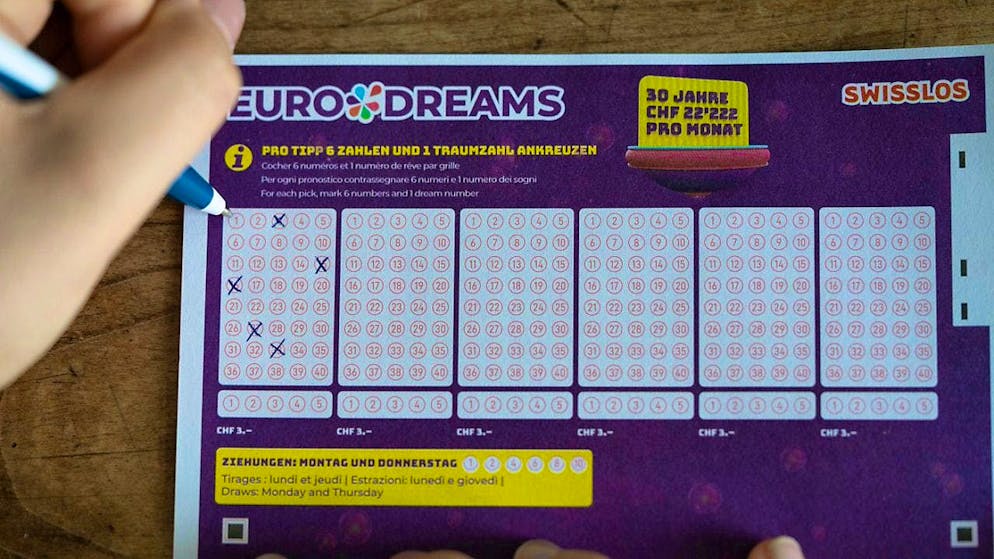 Eurodreams grand prize won: the winner will receive 22,222 francs a month for 30 years. (symbolic picture)