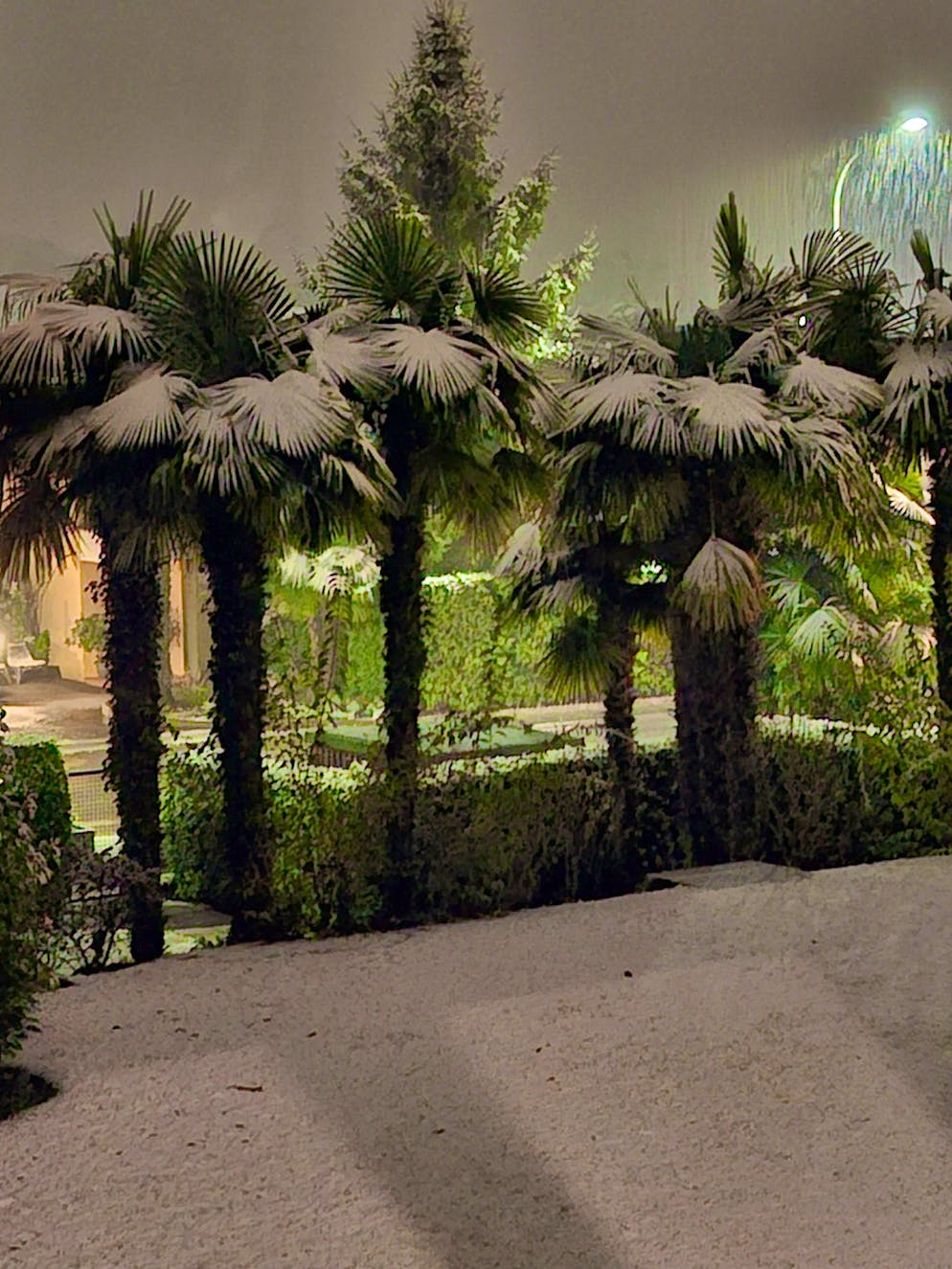 Winter onset Switzerland November 2024. It has snowed heavily in Caslano TI. 