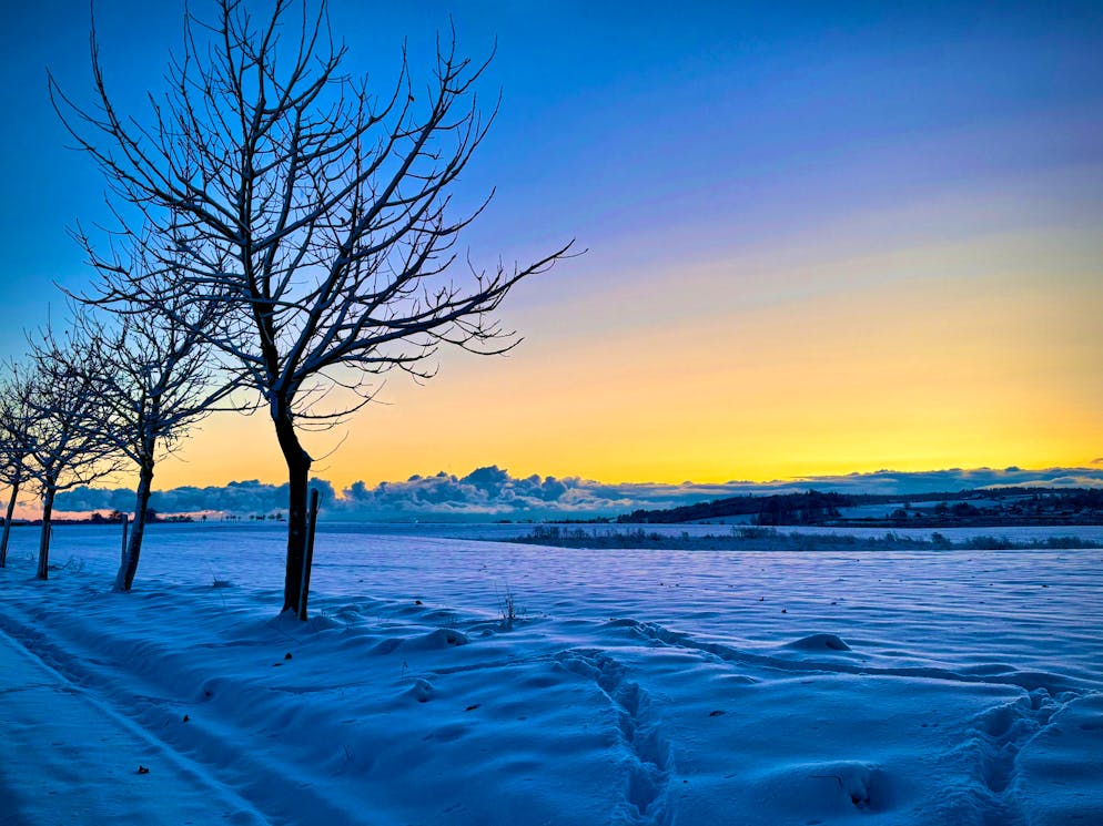 Winter onset Switzerland November 2024. There is also a lot of snow in Donzhausen TG. 