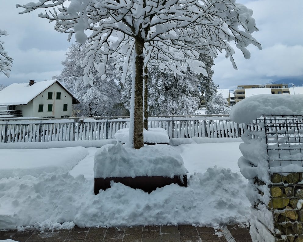 Wintereinbruch Schweiz November 2024. Viel Schnee in Reichenburg SZ