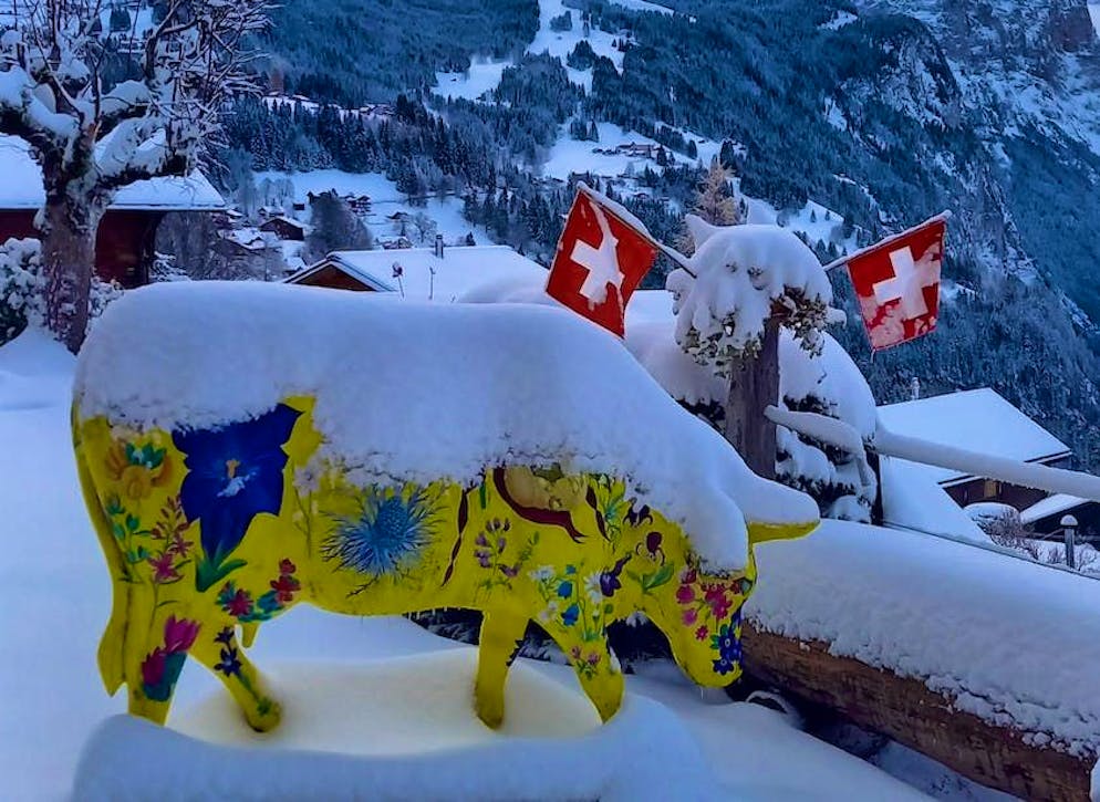Winter onset Switzerland November 2024. It has also snowed in Wengen BE. 