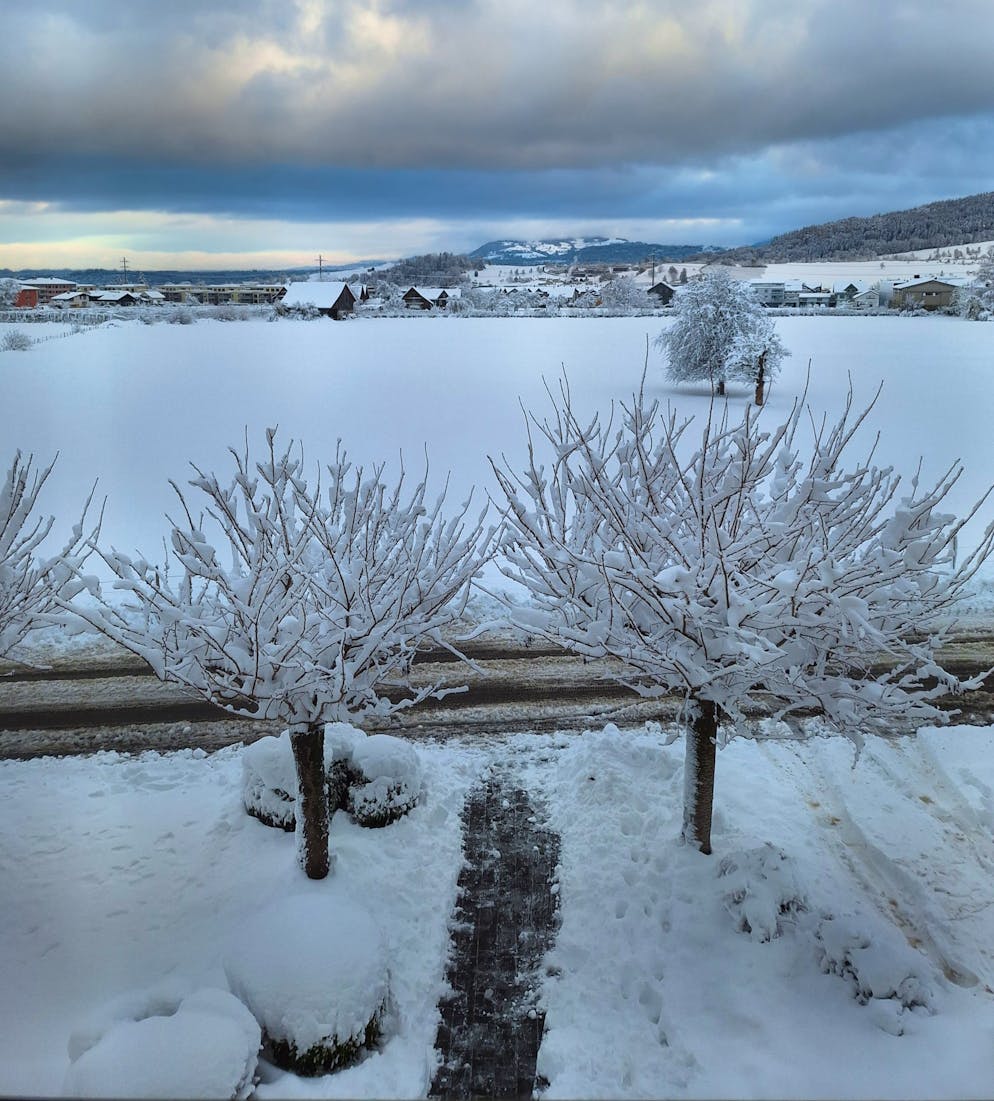 Wintereinbruch Schweiz November 2024. Schneelandschaft in Siebnen SZ. 