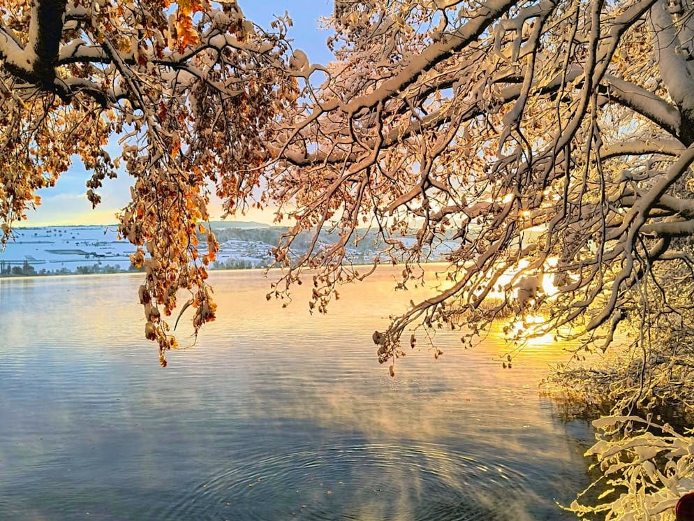 Traumhafte Morgenstimmung am Hallwilersee. 