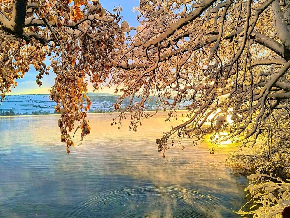 Dreamlike morning atmosphere at Lake Hallwil. 