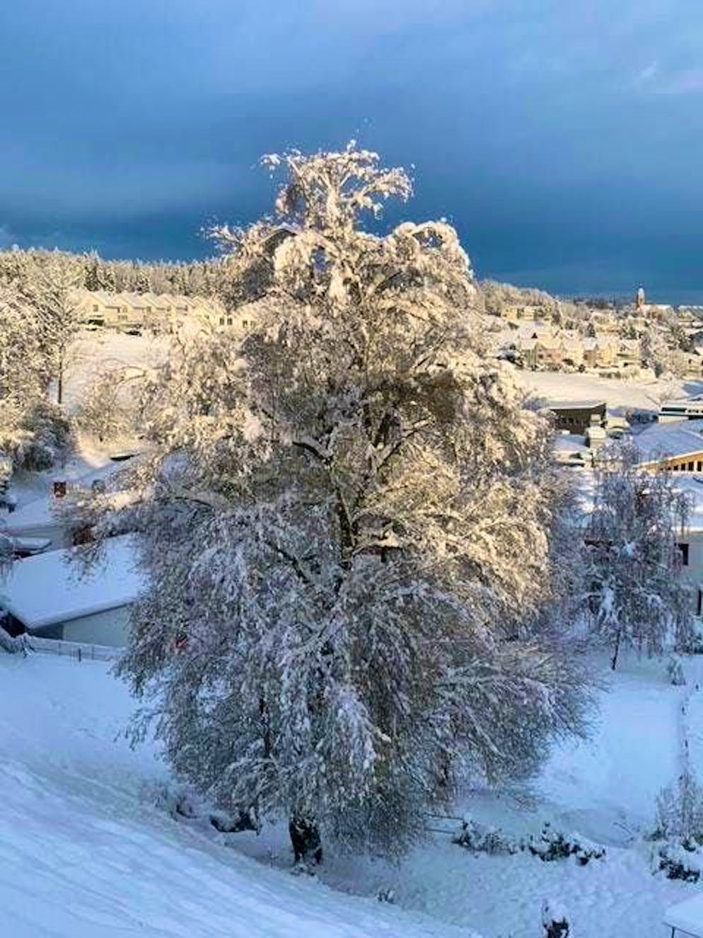 Winter onset Switzerland November 2024. A blue News reader reporter sends wintry greetings from near Lucerne. 
