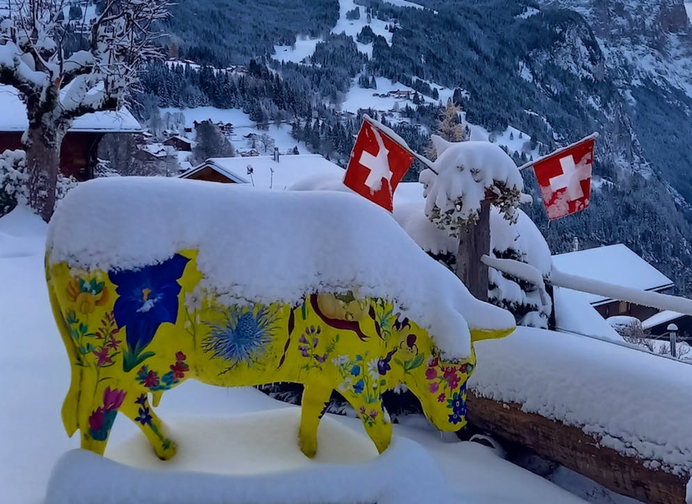 Wintereinbruch Schweiz November 2024. Auch in Wengen BE hats geschneit. 