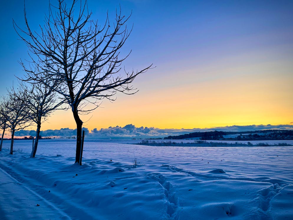 Wintereinbruch Schweiz November 2024. In Donzhausen TG liegt ebenfalls richtig viel Schnee. 