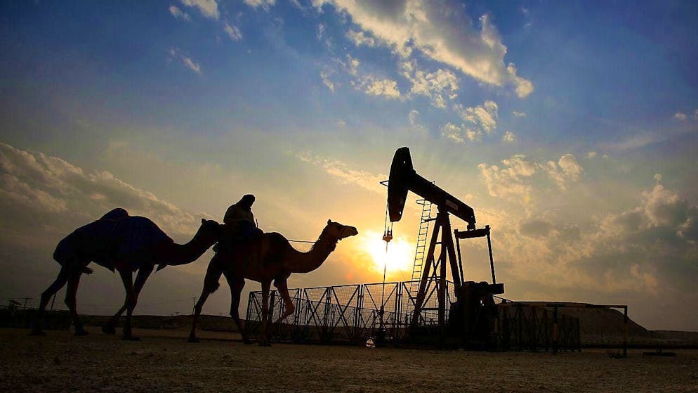Oil production at any price: Saudi Arabia repeatedly torpedoes climate negotiations.