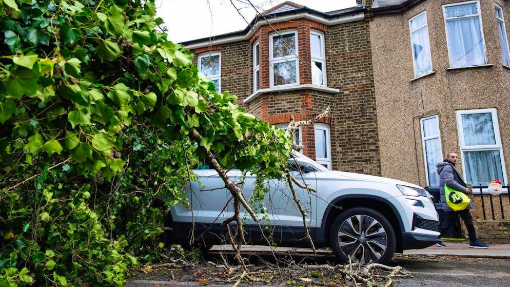 Several dead in storms in Great Britain - Gallery. In east London, a tree felled by Bert crashed into a car.