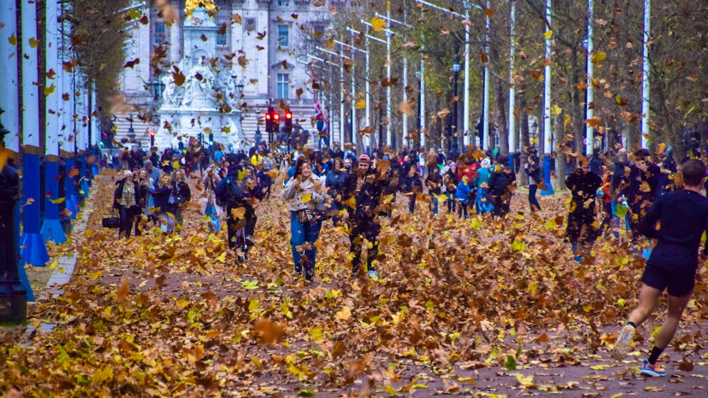 Several dead in storms in Great Britain - Gallery. The storm whirls the autumn leaves through the air on London's boulevard The Mall.