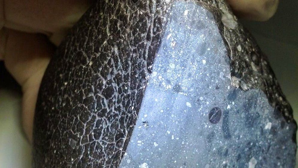 Il meteorite marziano "Black Beauty" analizzato dagli esperti.