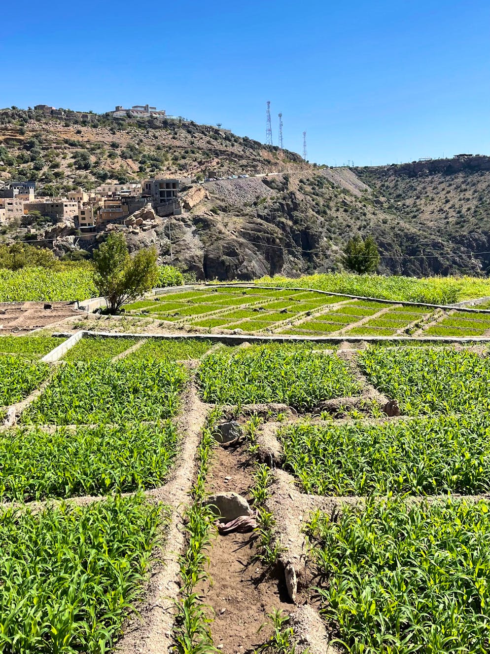Reisebericht Oman. Ein Spaziergang von Dorf zu Dorf eröffnet unvergessliche Aussichten. 