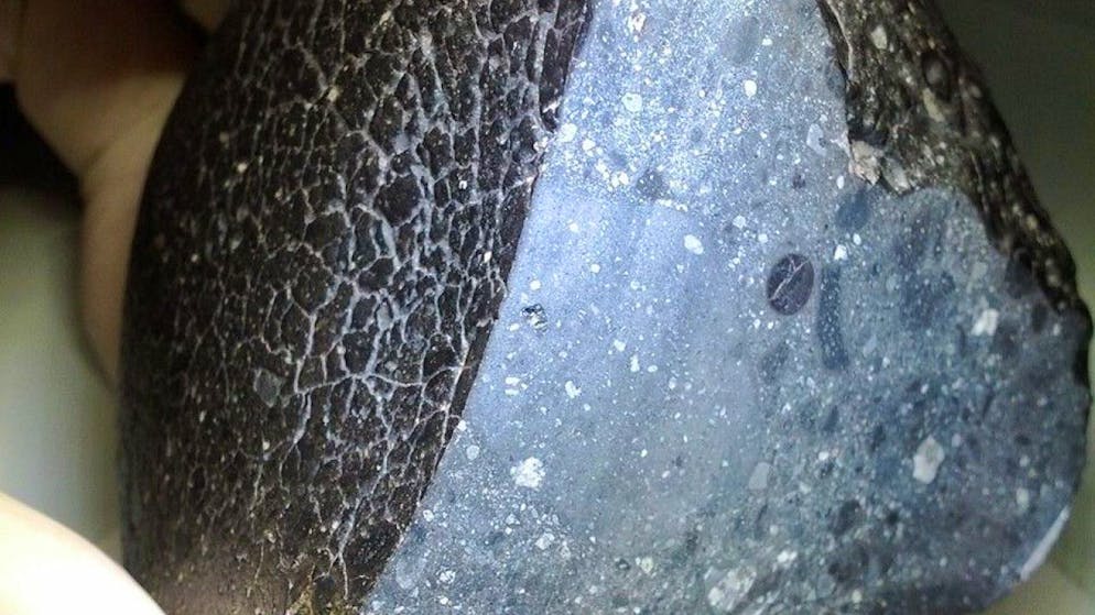 Der von den Wissenschaftlern analysierte Marsmeteorit.