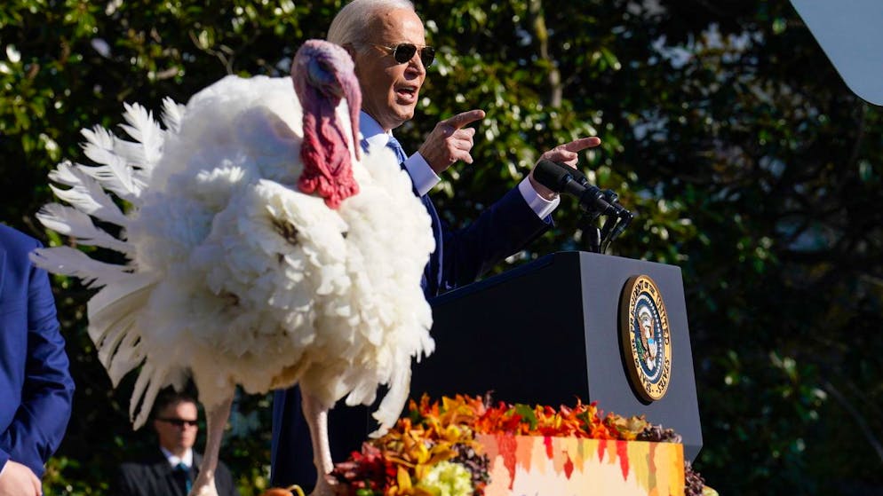 Tradizione del Ringraziamento. Per gli attivisti Joe Biden ha «salvato più tacchini che persone»