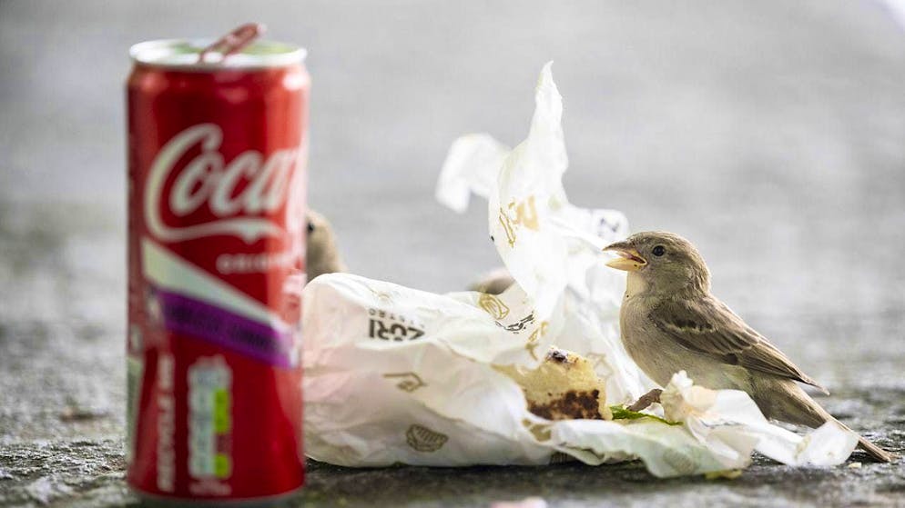 Littering has been decreasing in Switzerland for years, according to a survey. (archive picture)