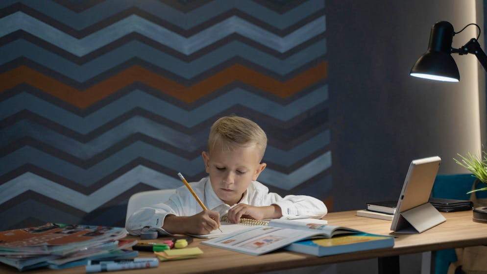 Compétence médias. «Chère IA, fais mes devoirs»