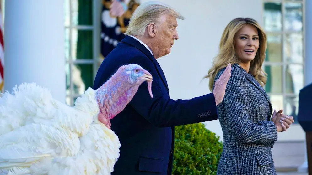 On Thanksgiving 2025, then-President Donald Trump may once again pardon a turkey - as he did on November 24, 2020.