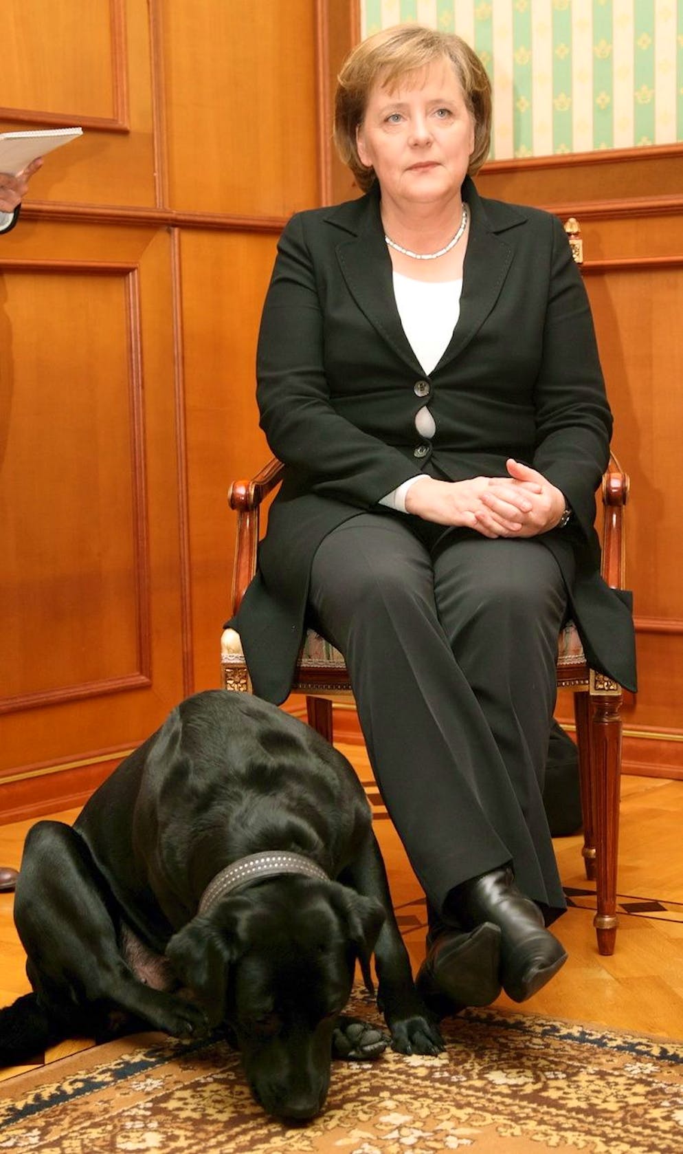epa00908981 Putin's pet dog Koney sits near German Chancellor Angela Merkel during her meeting with Russian President Vladimir Putin at his residence in Sochi, a Black sea resort, 21 January 2007. Angela Merkel arrived in Russia on a one-day working visit. EPA/SERGEI CHIRIKOV