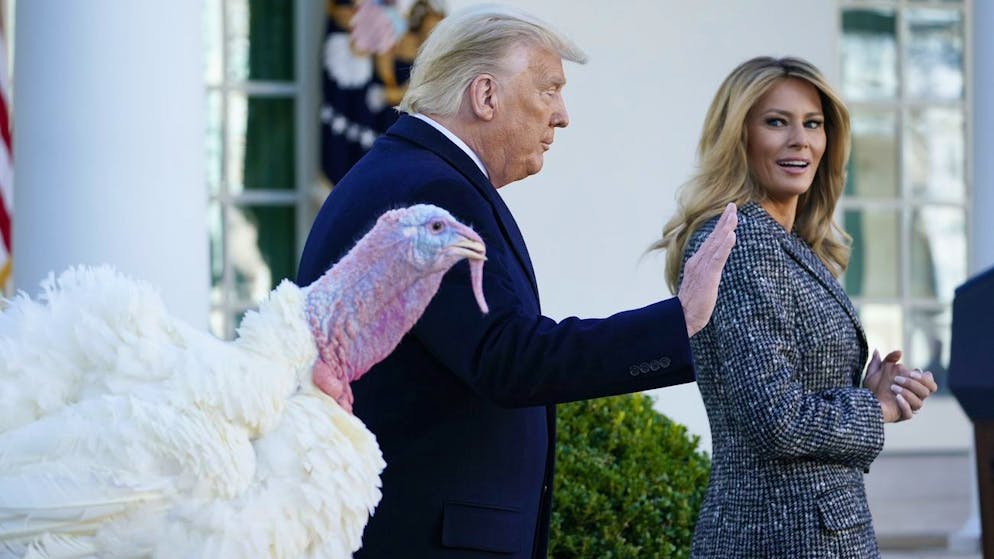 Families torn apart after US elections. US media give tips for a harmonious Thanksgiving