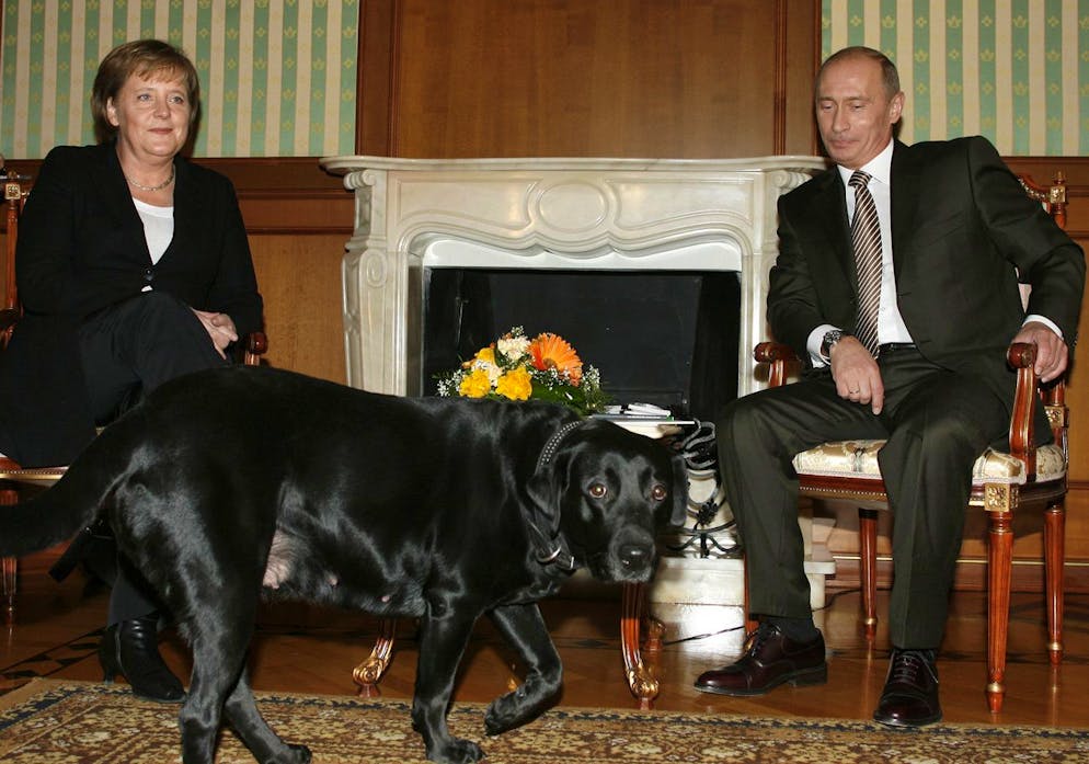 Une photo de la réunion, devenue célèbre, montre le gros chien noir au milieu de la pièce. Angela Merkel, l'air inquiet, a les yeux braqués sur l'animal, tandis que Vladimir Poutine, sourire en coin, observe la scène.