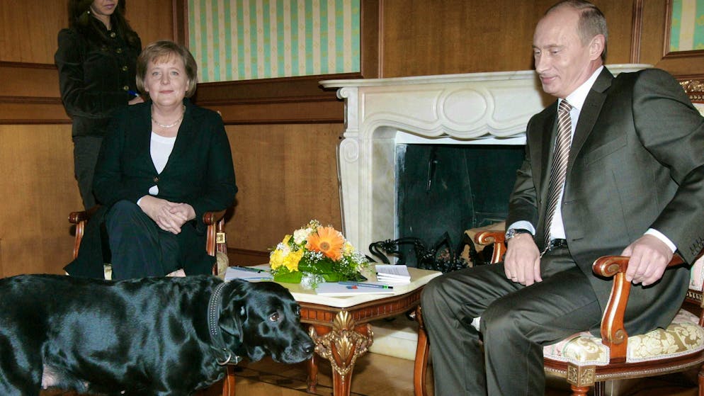 In her memoirs, Merkel writes that Putin "took a liking to the situation" and may have wanted to demonstrate his power or see her in distress.