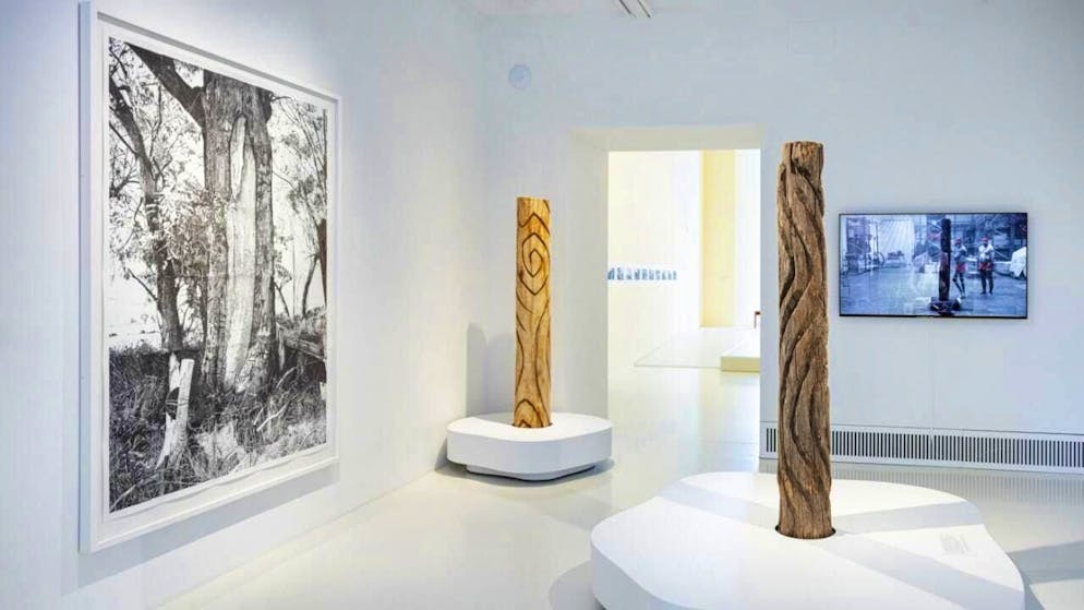 Museum der Kulturen Basel rewarded for restitution of cult object - Gallery. For a brief moment, the old and new Thulu trees were together in the "Everything Lives" exhibition.