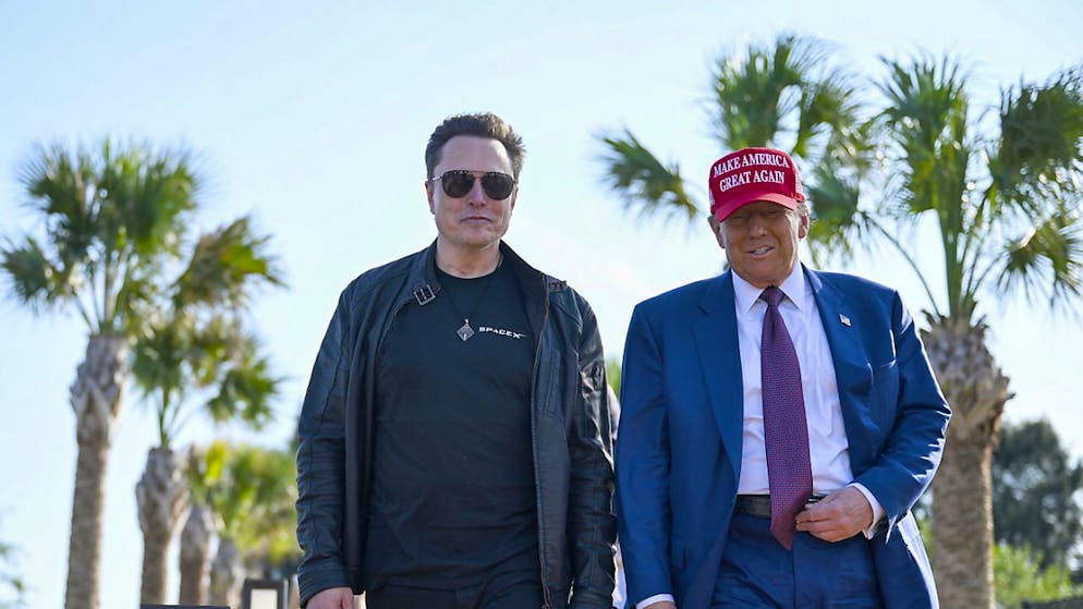 Donald Trump ed Elon Musk