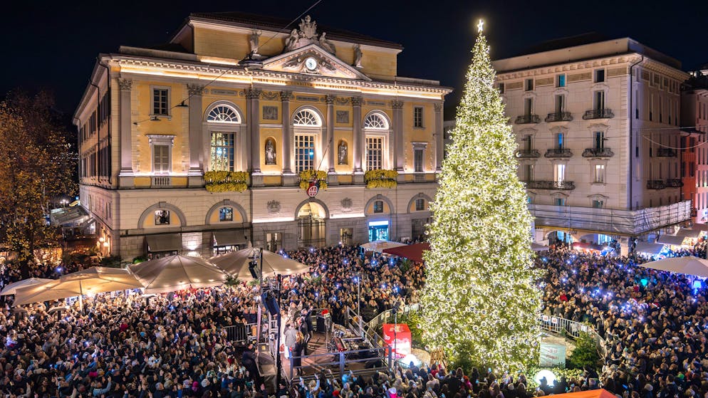 Avvento. L'albero di Natale arriverà in Piazza Riforma a Lugano col camion