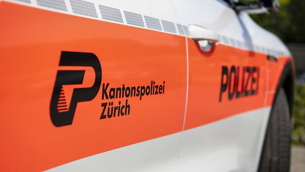 Die Zürcher Kantonspolizei rückte am Sonntag aus, um zwei mutmassliche Einbrecher festzunehmen. (Archivbild)