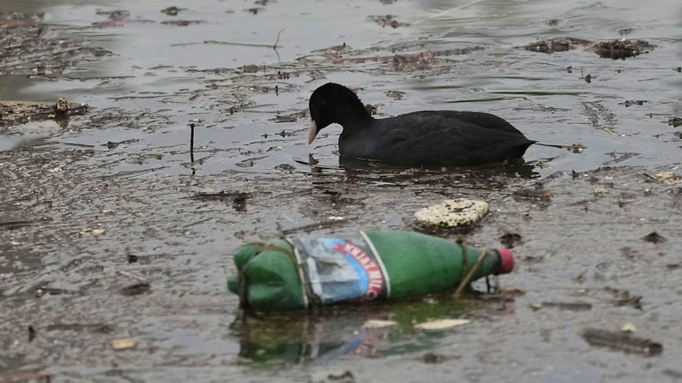 Depuis l'ouverture de la séance, le 25 novembre, les négociations ont tourné au dialogue de sourds entre une majorité de pays souhaitant un accord ambitieux et un petit groupe d'Etats producteurs de pétrole menés par la Russie, l'Arabie saoudite et l'Iran.