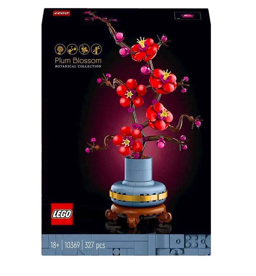 7 Geschenkideen für den besten Kumpel. Das innere Kind einfach mal wieder Kind sein lassen, geht mit einem Lego-Set. Das Set «Plum Blossom» aus der «Botanical Collection» für 26.90 Franken, via Ex Libris, dient gleich auch noch als Deko-Objekt.