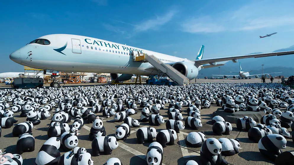 dpatopbilder - Ein Teil der 2500 Panda-Skulpturen wird während der Begrüßungszeremonie der Panda-Ausstellung «Panda Go!» auf dem internationalen Flughafen von Hongkong ausgestellt. Foto: Chan Long Hei/AP/dpa