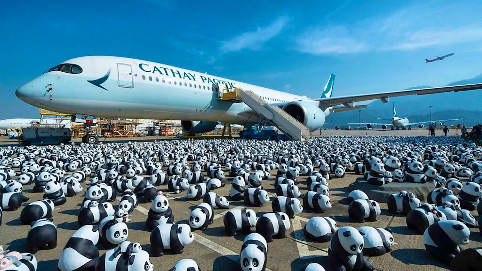 dpatopbilder - Some of the 2500 panda sculptures are displayed during the welcoming ceremony of the panda exhibition "Panda Go!" at Hong Kong International Airport. Photo: Chan Long Hei/AP/dpa