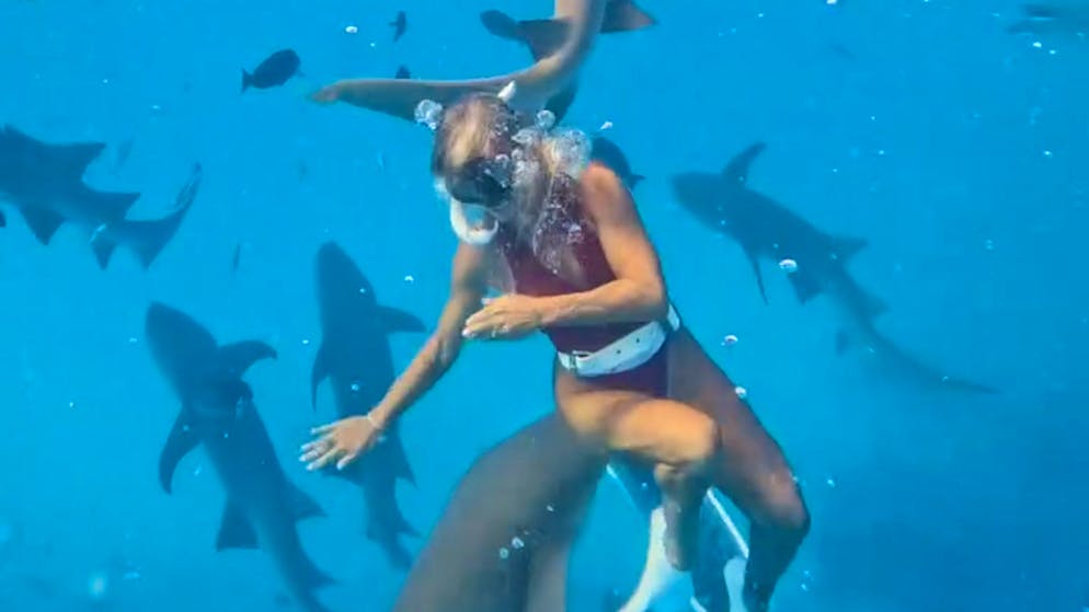 Scary moment under water. Shark bites diver in the calf