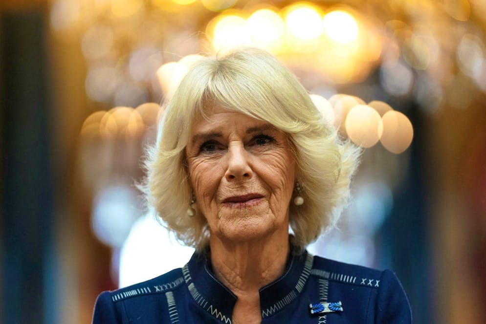 Queen Consort Camilla at a reception in London.