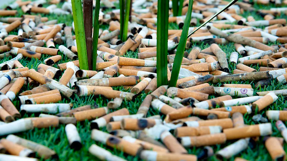 Pour les responsables de stop2drop, "un mégot de cigarette peut sembler insignifiant, mais il est extrêmement dangereux" pour les jeunes enfants et l'environnement (image d'illustration).