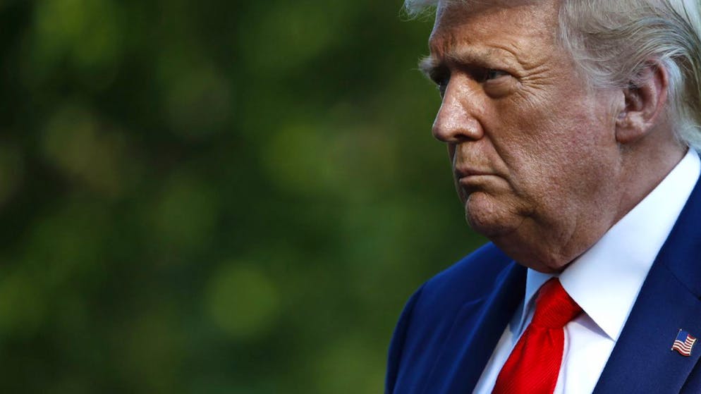 La visita a Parigi sarà la prima all'estero per Donald Trump da quando ha vinto le elezioni presidenziali americane.