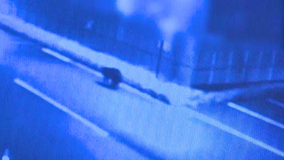 A bear wreaked havoc for two days in the northern Japanese city of Akita City.