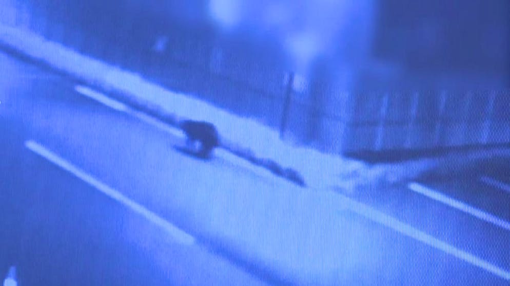 Ein Bär trieb zwei Tage lang in der nordjapanischen Stadt Akita City sein Unwesen.