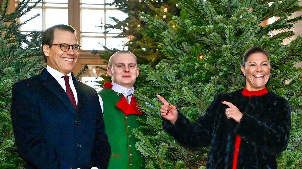 Dato che la principessa ereditaria Vittoria e il principe Daniel non hanno segnalato al servizio di sicurezza la visita di Babbo Natale nel loro palazzo nel 2020, l'uomo è stato arrestato.