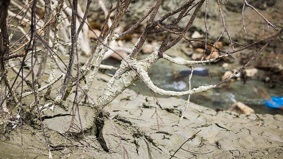 Sludge residues formed on the Dranse after the Lac des Toules reservoir was emptied. (archive picture)
